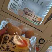 ヒメ日記 2026/10/13 07:41 投稿 夜桜 人妻最後の砦 小岩店