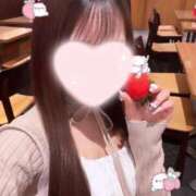 品川ゆず 私の只今の案内状況♪ JKリフレ東京 秋葉原本店