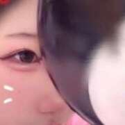 LIZ えっ💞 さくらん東京