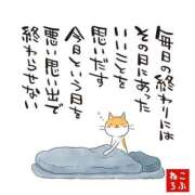 ヒメ日記 2026/10/23 05:55 投稿 内海理名 TOKYO五十路マダムin池袋（カサブランカグループ）