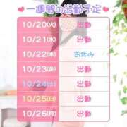 ヒメ日記 2026/10/20 16:06 投稿 よしの ハピネス東京 吉原店