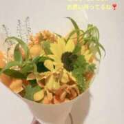 ヒメ日記 2026/09/28 11:50 投稿 しおん 東京リップ 渋谷店