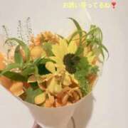 ヒメ日記 2026/10/02 12:00 投稿 しおん 東京リップ 渋谷店