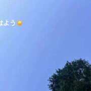 ヒメ日記 2026/10/08 07:43 投稿 しおん 東京リップ 渋谷店