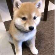 ヒメ日記 2026/09/28 16:16 投稿 内海 理名 熟女パラダイス鶯谷店(カサブランカグループ)