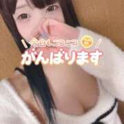 ヒメ日記 2026/09/27 07:16 投稿 青木にこ 華椿
