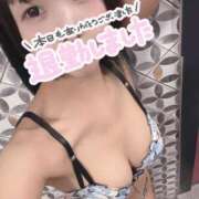 ヒメ日記 2026/10/23 01:01 投稿 青木にこ 華椿