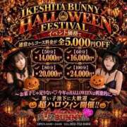 ヒメ日記 2026/10/07 09:17 投稿 サエ♡知る人ぞ知る、隠れた人気♡ ドMなバニーちゃん 名古屋・池下店