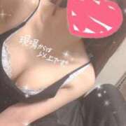 ヒメ日記 2026/10/11 15:14 投稿 栗原　みれい OLセレクション宇都宮店