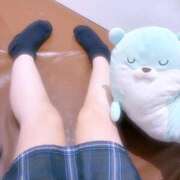 うさぎ まだ間に合うよっ💭 ビデオdeはんど 横浜校