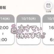 ヒメ日記 2026/10/14 07:05 投稿 ななみ★S級×三上〇亜似の逸材 Bell～S級美女お姉様・人妻デリヘル～