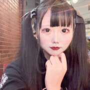 ヒメ日記 2026/09/29 07:49 投稿 うさたん SPIN(スピン)