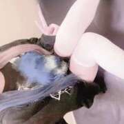 ヒメ日記 2026/10/01 14:59 投稿 ねむり ウルトラドリーム