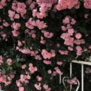ヒメ日記 2026/10/08 18:20 投稿 ミオ【新人】【宮崎っ子】 Alice