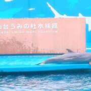 ヒメ日記 2026/09/27 09:29 投稿 ひかり 福島駅前ちゃんこ