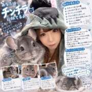 ヒメ日記 2026/09/26 12:17 投稿 さしみ 土浦ハッピーマットパラダイス