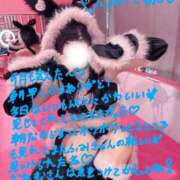 ヒメ日記 2026/09/27 10:00 投稿 【ことり】愛嬌抜群小悪魔系 おねだり本店　熊本