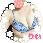 ヒメ日記 2026/09/29 13:30 投稿 りい 熟女家 十三店
