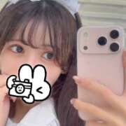 ヒメ日記 2026/09/29 21:08 投稿 まいか【別格すぎる美人】 STELLA TOKYO-ステラトウキョウ-
