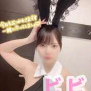 ☆びび☆ バニバニバニー🐰 ◆プラウディア◆AAA級素人娘在籍店