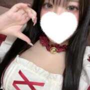 ヒメ日記 2026/10/11 12:21 投稿 ☆かなた☆ ◆プラウディア◆AAA級素人娘在籍店