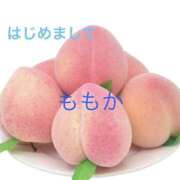 ヒメ日記 2026/09/28 06:04 投稿 ももか 熟女の風俗最終章 宇都宮店