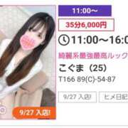 ヒメ日記 2026/10/10 10:57 投稿 こぐま 上野ハンドメイド