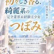 つぼみ 🌸完全業界未経験【つぼみ】ちゃん🌸本日11時～より プロフィール姫路