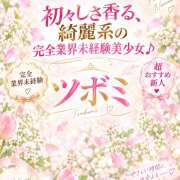 ツボミ 🌸完全業界未経験【つぼみ】ちゃん🌸本日11時～より ギャルズネットワーク 姫路