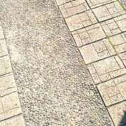 ヒメ日記 2026/10/11 09:27 投稿 向日葵(ひまわり) PLUS梅田店