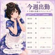 ねう 今週の出勤予定です💙 ハピネス東京