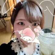 ♡める♡ こんにちは😼 ぽっちゃりバニー