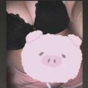 ヒメ日記 2026/10/13 03:03 投稿 にな ぽっちゃり巨乳素人専門店ぷにめろ八王子店