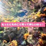 ヒメ日記 2026/09/29 18:15 投稿 小熊にも ラブアイドル