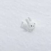 ヒメ日記 2026/10/12 17:21 投稿 小雪(こゆき) グランドオペラ福岡