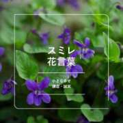 ヒメ日記 2026/10/10 22:16 投稿 すみれ 足利ソープ SBC