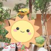 ヒメ日記 2026/09/30 11:06 投稿 こころ奥様 人妻倶楽部　日本橋店