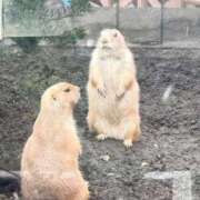 ヒメ日記 2026/10/11 22:49 投稿 りつか G-STAGE
