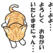ヒメ日記 2026/10/04 23:57 投稿 新人ココロ Celeb Garden(セレブガーデン)