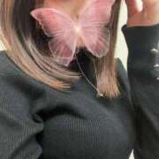 ヒメ日記 2026/10/03 14:54 投稿 るい（特別料金） スーパーモデル 難波店