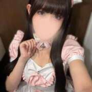 ヒメ日記 2026/10/07 00:45 投稿 ひめか コンカフェ×オナクラ ＠LOVE五反田店