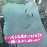ヒメ日記 2026/10/10 14:27 投稿 ゆま 白いぽっちゃりさん錦糸町店