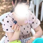 ヒメ日記 2026/09/30 12:21 投稿 しほ ナイトヴィーナス