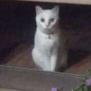 ヒメ日記 2026/10/06 01:50 投稿 露木 みつ AROMAGE（アロマージュ）