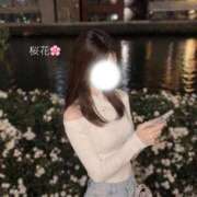 ヒメ日記 2026/10/01 17:30 投稿 桜花【おうか】 ジュエリー(谷九)