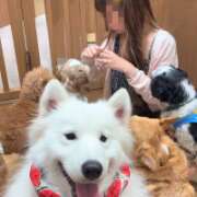 ヒメ日記 2026/10/07 21:06 投稿 ぴの【小柄で愛おしい】 STELLA TOKYO－ステラトウキョウ－
