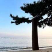 ヒメ日記 2026/10/12 09:36 投稿 じあ ☆新JACK爆誕！！！ Ace(エース)