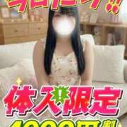 るあん 今すぐ案内 サティアンまーと