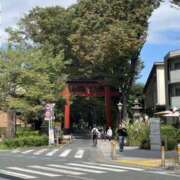 ヒメ日記 2026/10/03 16:37 投稿 巴 奈緒子 TOKYO五十路マダムin池袋（カサブランカグループ）