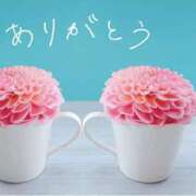 ヒメ日記 2026/10/03 11:45 投稿 みな KARMA(カルマ)